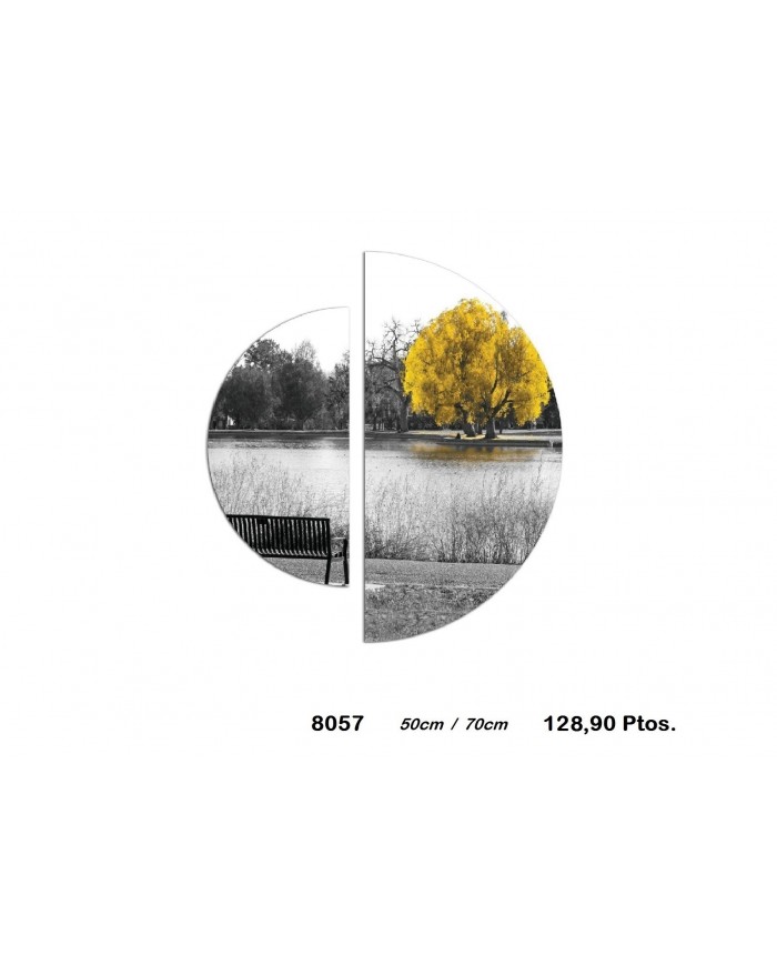 Cuadro decorativo lago