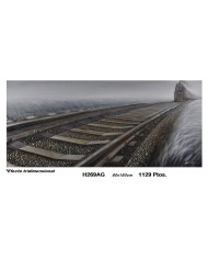Cuadro decorativo locomotora EFECTO TRIDIMENSIONAL