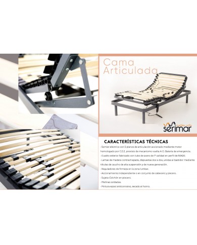 Cama articulada